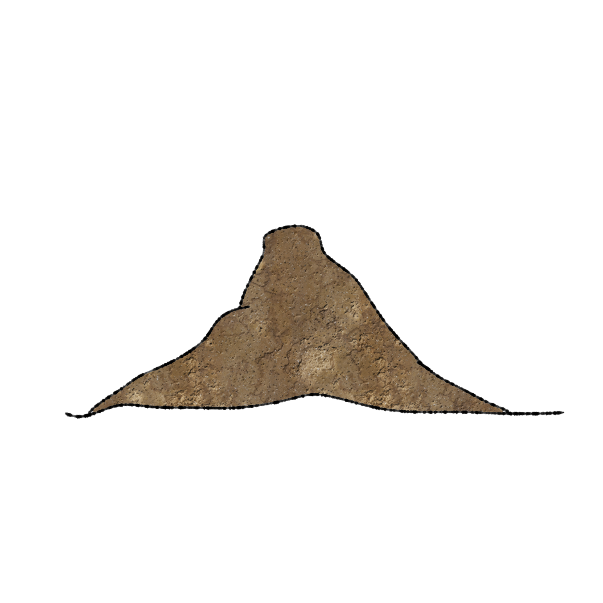 土